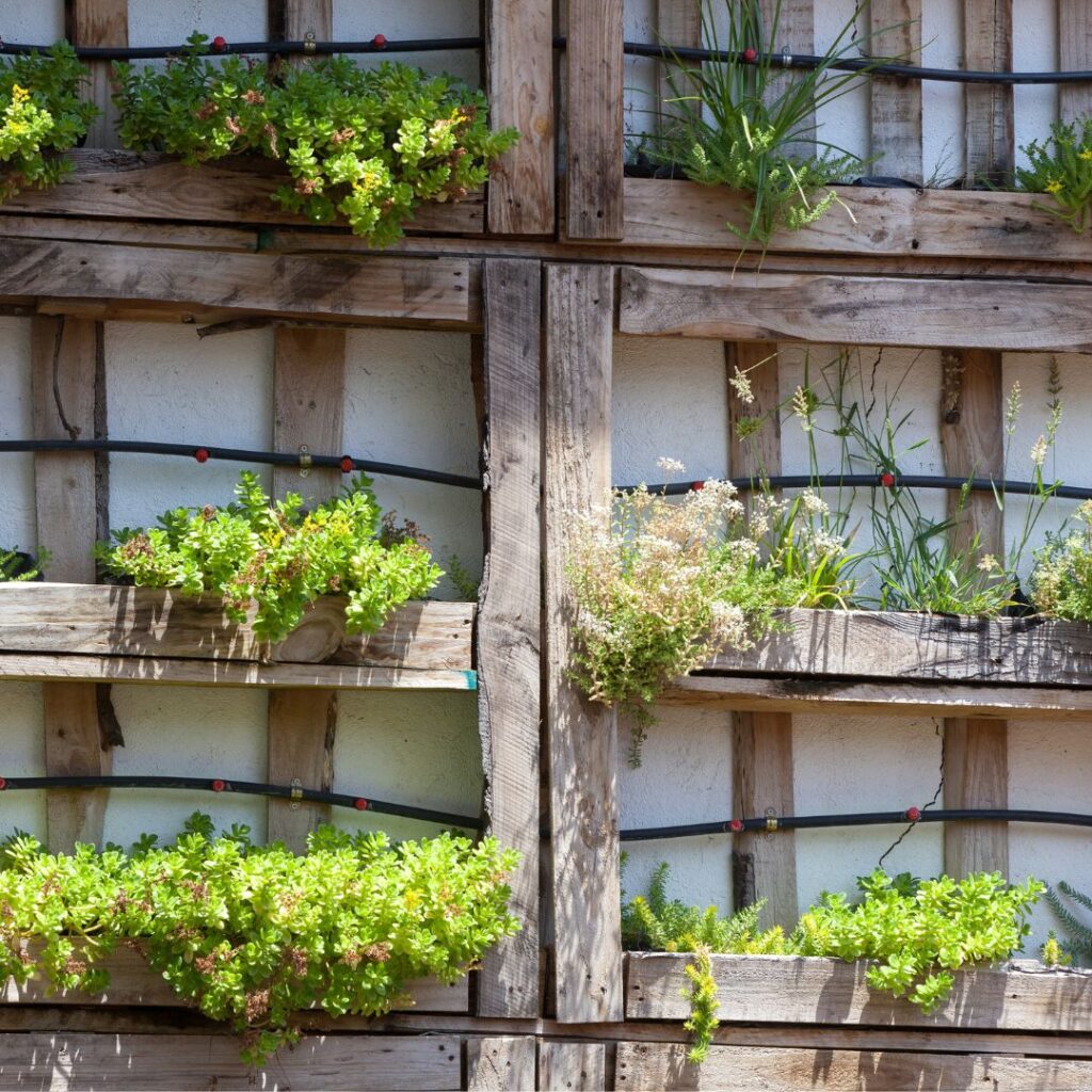 home gardening organization trends