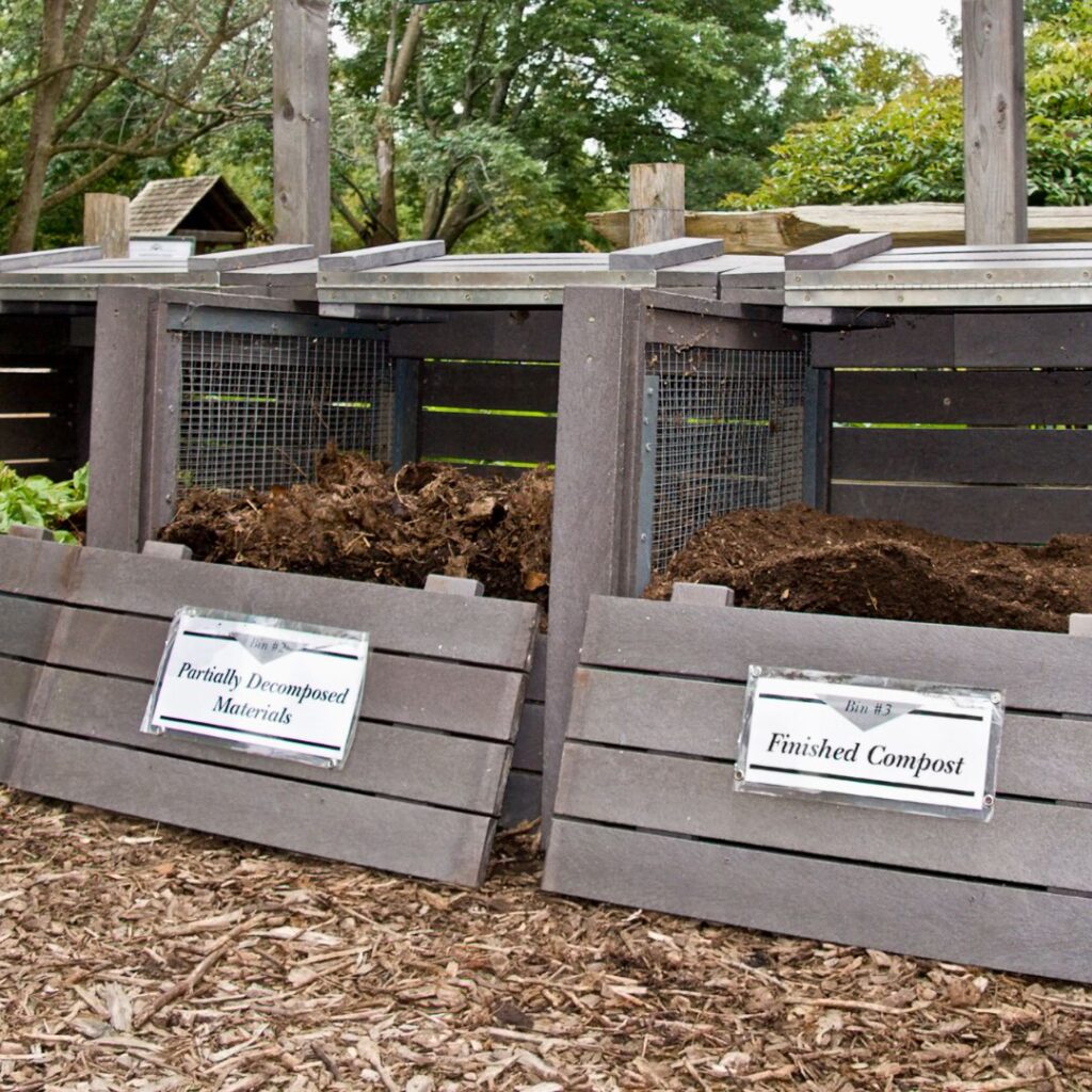 home gardening organization trends