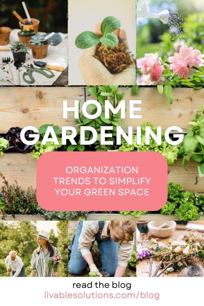 home gardening organization trends